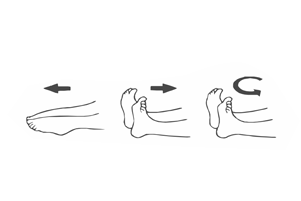 Ankle-Toe-movement